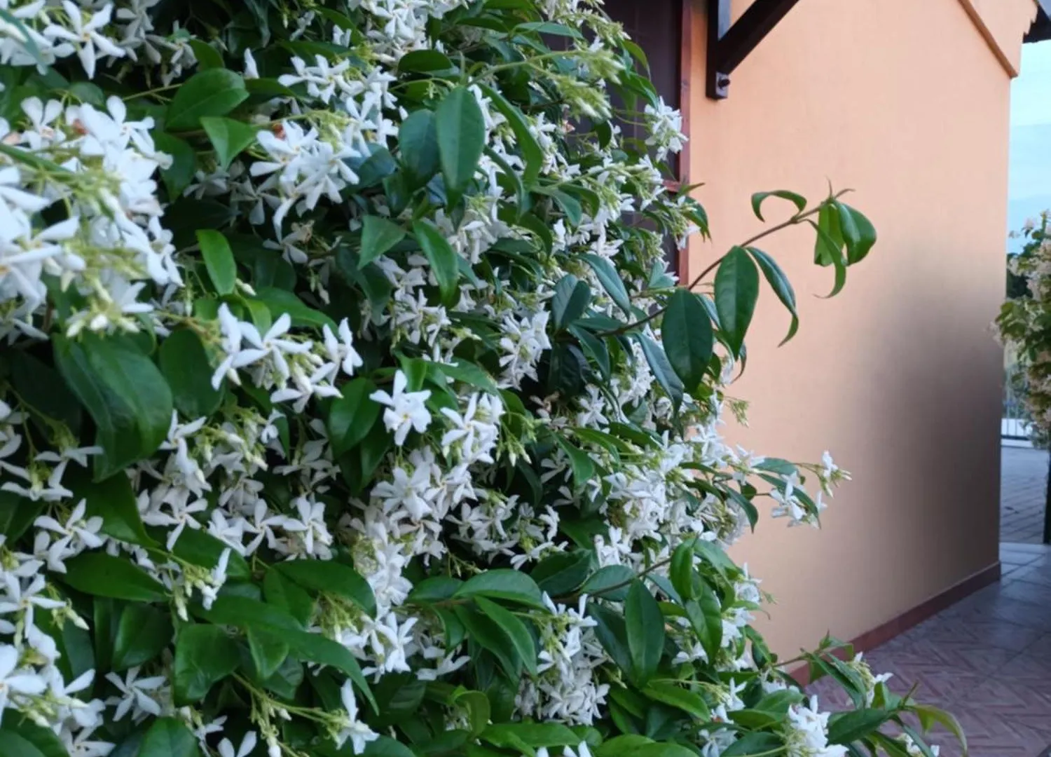 Casa Vacanze I Gelsomini Grancetta